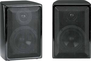 ASW Loudspeaker Opus M Black oak mono