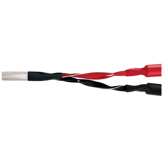 Wireworld Luna 8 Speaker Cable 2.0m Pair (BAN-BAN)