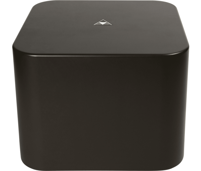 TRIAD Garden Array 10 Subwoofer