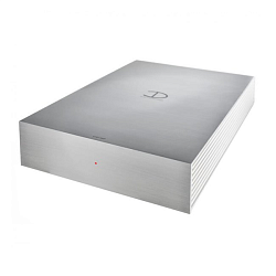 Densen CAST AMP albino Densen CAST AMP albino